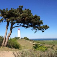 Insel Hiddensee Lage Hochland Mörlerhaus Ferienhaus Leuchturm